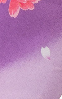 藤袖に紫