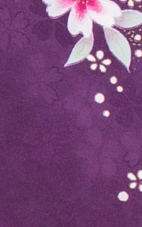 紫香苗