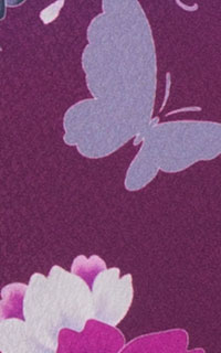 青紫花蝶